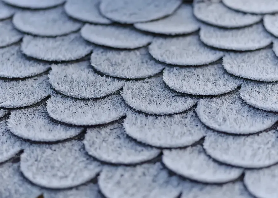Close detail of frosted roof shingles