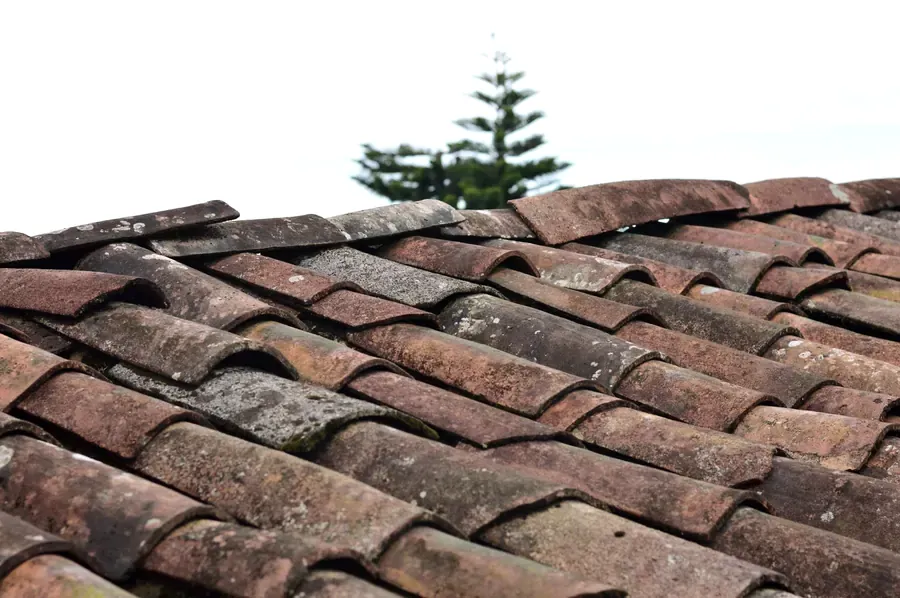 Close view of clay roof tiles