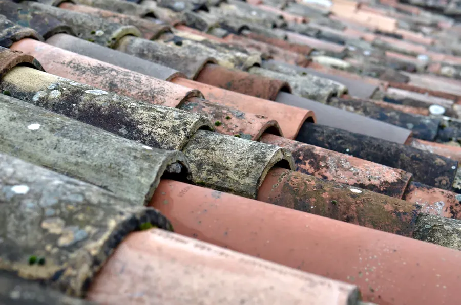 Terracotta roof tiles
